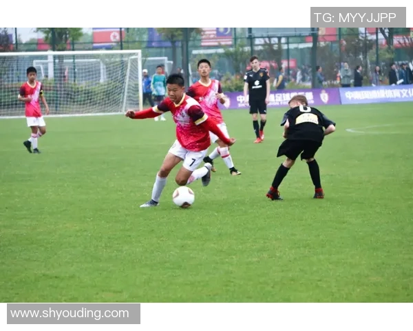 汪星人足球明星的精彩瞬间与背后的感人故事