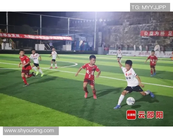 追风少年的足球梦想与成长之路：从校园到绿茵场的奋斗故事